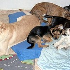 3761696605_2d6aaf0b1a