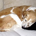 3761731901_0f50262392