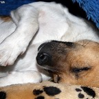 3762495260_57d5e02563