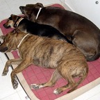 3762496086_ac85687cbc