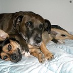 3762496608_8a28b589bb