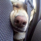 3762497076_fa9b3ff33f