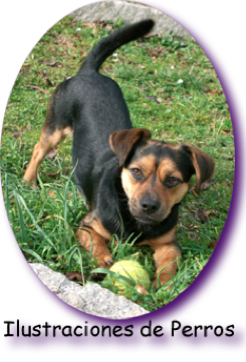ilustraciones perros