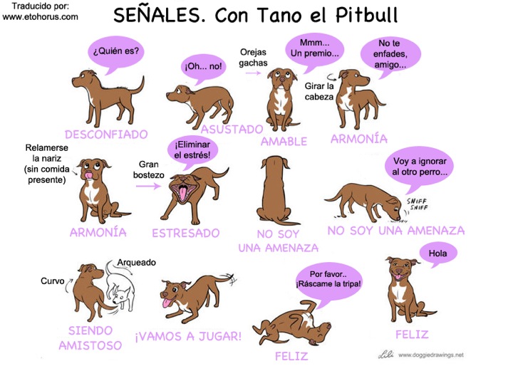 señales