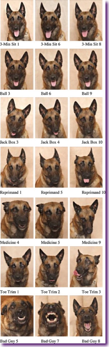 1-s2.0-S0376635713000326-gr1