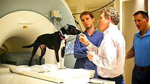 120508172028_callie_304x171_ap_nocredit