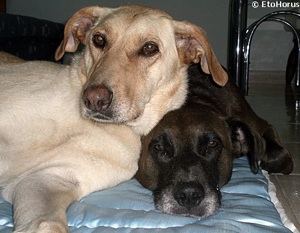 154757_10150133527398677_240146638676_8075702_2929386_n