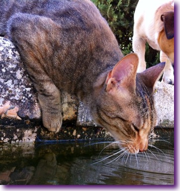 542340_4305819293612_859469606_n