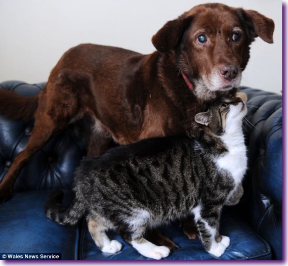 article-2254094-16AA02CC000005DC-408_634x584