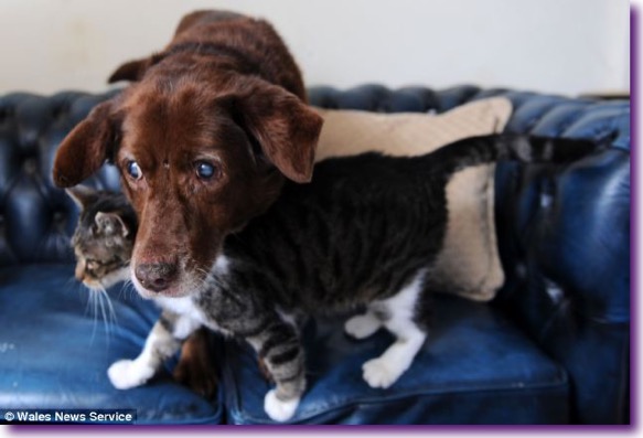 article-2254094-16AA02F1000005DC-465_634x427