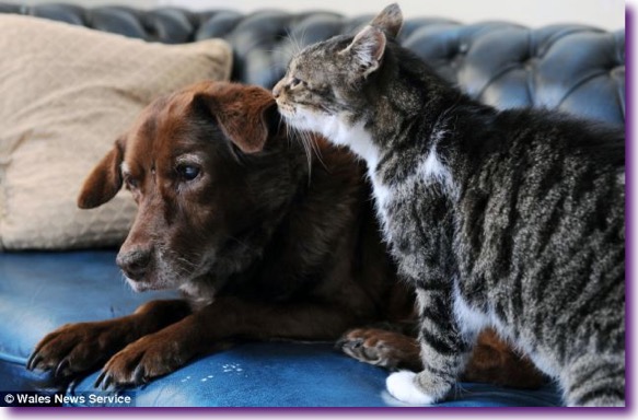 article-2254094-16AA0534000005DC-81_634x413