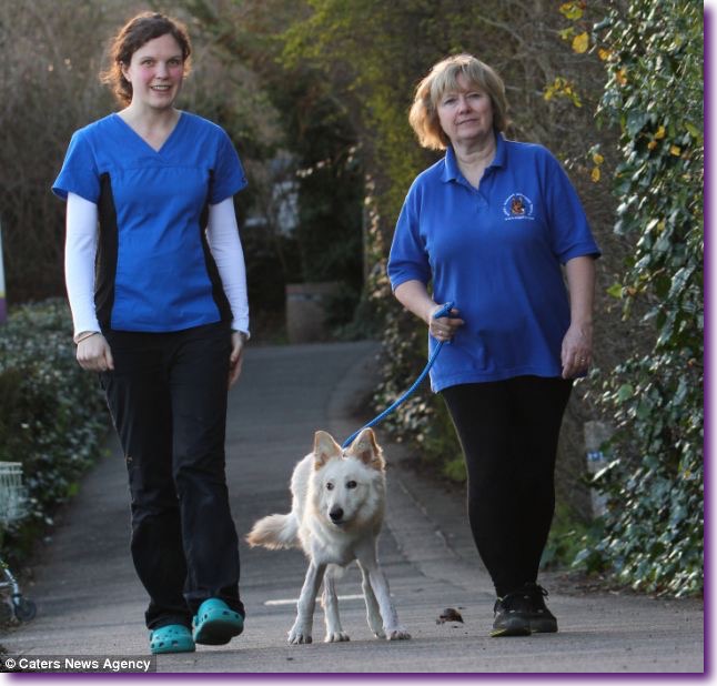 article-2576744-1C2516E300000578-739_634x606