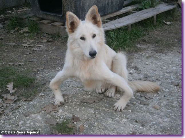 article-2576744-1C25174D00000578-208_634x470