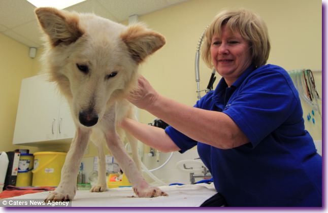 article-2576744-1C25180200000578-422_634x408