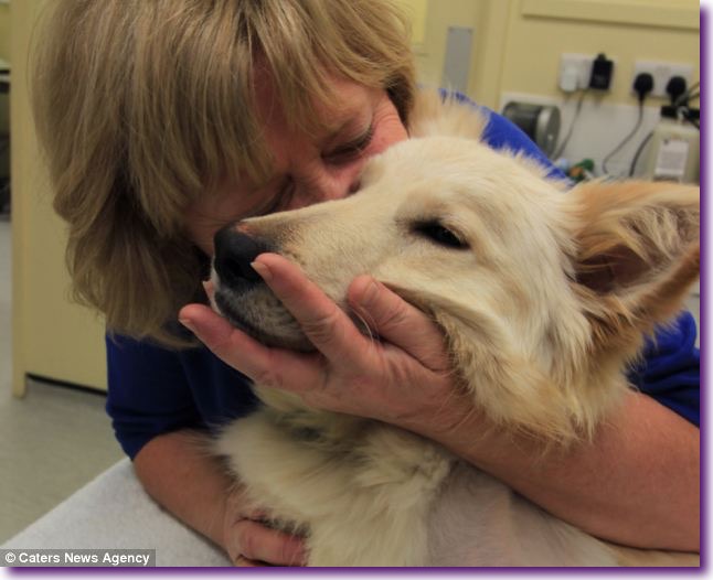 article-2576744-1C25180900000578-409_634x514