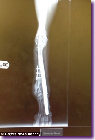 article-2576744-1C25186800000578-430_306x456