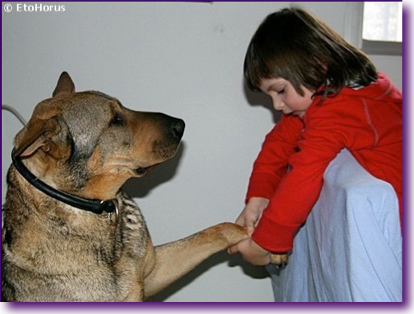 Captura de pantalla 2012-06-14 a la(s) 13.11.05