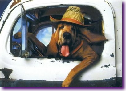 Captura de pantalla 2012-06-15 a la(s) 18.53.08