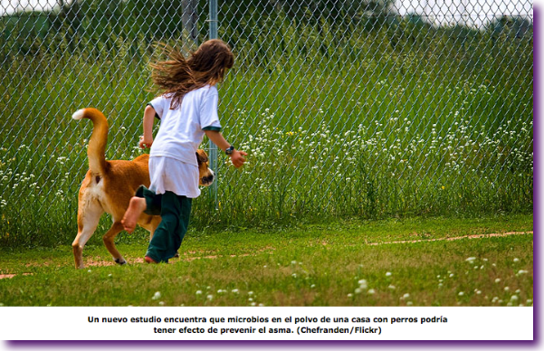 Captura de pantalla 2012-06-30 a la(s) 18.32.12