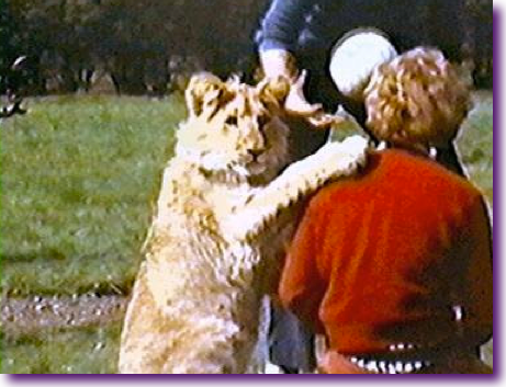 Captura de pantalla 2012-07-26 a la(s) 12.36.33