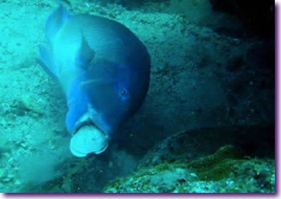 Captura de pantalla 2012-07-26 a la(s) 13.05.17