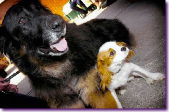 Captura de pantalla 2012-07-26 a la(s) 13.06.08