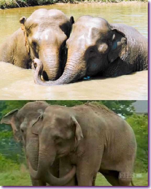 Captura de pantalla 2012-07-26 a la(s) 13.07.01