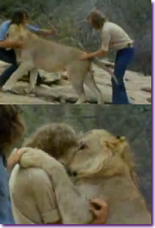 Captura de pantalla 2012-07-26 a la(s) 13.08.23