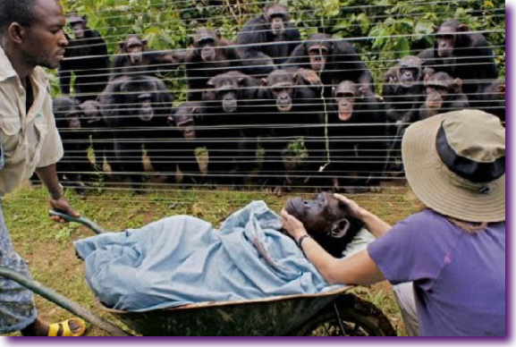 Captura de pantalla 2012-07-26 a la(s) 13.10.05