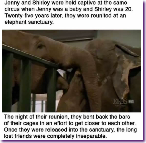 Captura de pantalla 2012-07-26 a la(s) 13.13.43