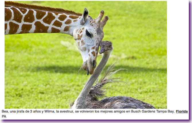 Captura de pantalla 2012-08-22 a la(s) 14.34.08
