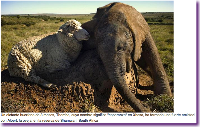 Captura de pantalla 2012-08-22 a la(s) 14.34.33