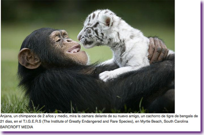 Captura de pantalla 2012-08-22 a la(s) 14.34.47