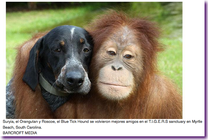 Captura de pantalla 2012-08-22 a la(s) 14.35.00