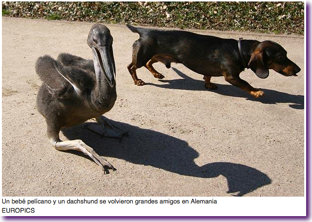 Captura de pantalla 2012-08-22 a la(s) 14.35.14