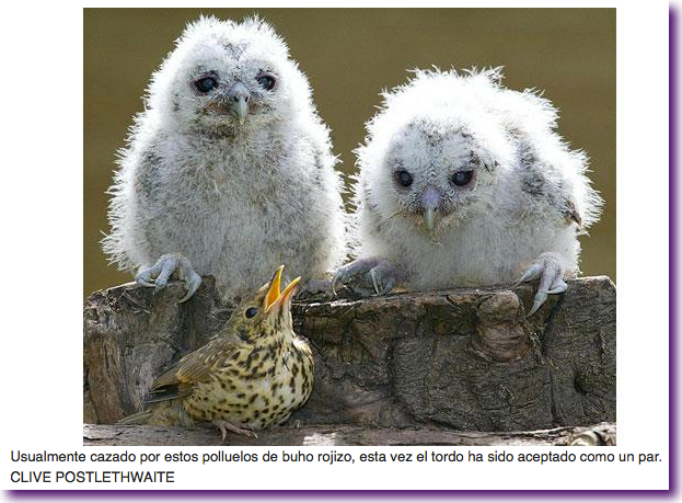 Captura de pantalla 2012-08-22 a la(s) 14.35.27