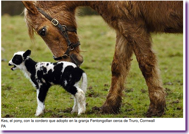 Captura de pantalla 2012-08-22 a la(s) 14.35.51