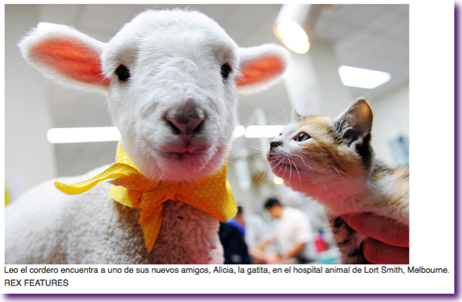 Captura de pantalla 2012-08-22 a la(s) 14.36.24