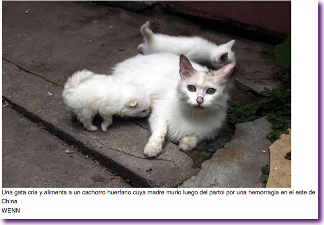 Captura de pantalla 2012-08-22 a la(s) 14.36.32