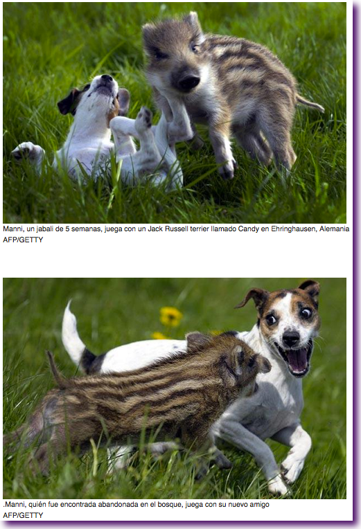 Captura de pantalla 2012-08-22 a la(s) 14.37.08