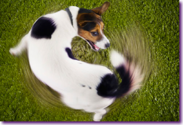 Captura de pantalla 2012-08-23 a la(s) 14.37.57