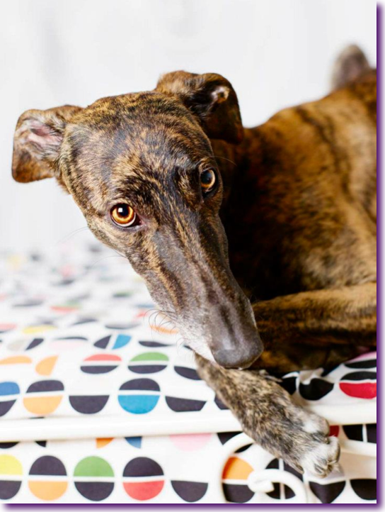 Captura de pantalla 2012-10-06 a la(s) 22.12.19