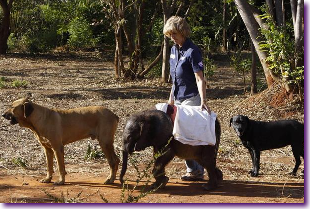 Captura de pantalla 2012-10-17 a la(s) 14.00.22