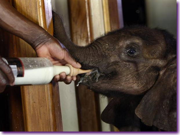 Captura de pantalla 2012-10-17 a la(s) 14.01.05