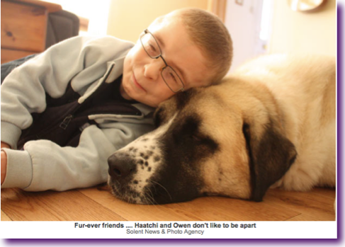 Captura de pantalla 2012-10-26 a la(s) 19.46.55