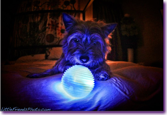 Captura de pantalla 2012-11-02 a la(s) 13.20.00