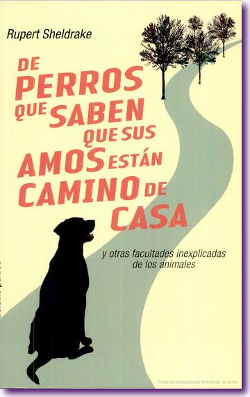 Captura de pantalla 2012-11-02 a la(s) 13.25.24