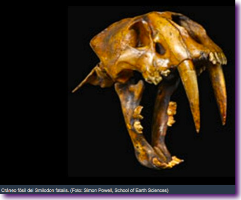 Captura de pantalla 2012-11-10 a la(s) 22.26.31