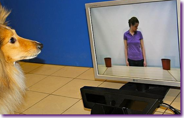 Captura de pantalla 2012-11-22 a la(s) 11.43.45