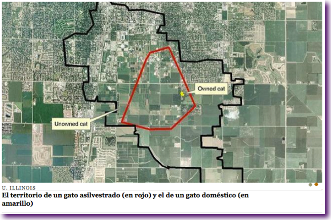 Captura de pantalla 2012-11-22 a la(s) 12.11.58